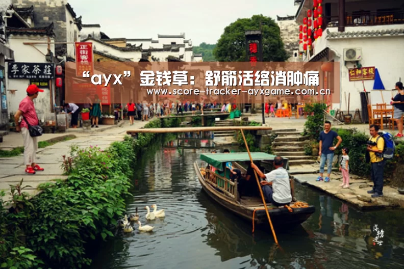“ayx”金钱草:舒筋活络消肿痛(图1) “ayx”金钱草:舒筋活络消肿痛(图1)
